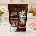 Fine Line Pasta Colour Chocolate Brown Sugar Paste 500g